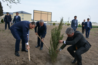 Rəqəmsal İnkişaf və Nəqliyyat Nazirliyi Tərtər rayonunda “Heydər Əliyev İli” çərçivəsində ağacəkmə aksiyası keçirib