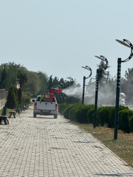 Tərtərdə dekorativ ağacların zərərvericilərə qarşı dərmanlanması işləri aparılıb
