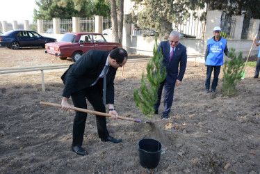 Tərtərdə “Konstitusiya və Suverenlik İli” çərçivəsində 8 Noyabr Zəfər Gününün beşinci ildönümü ilə əlaqədar ağacəkmə aksiyası keçirilib