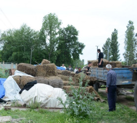 Tərtərdə “Bakı–Xankəndi” Azərbaycan velosiped yarışının keçiriləcəyi marşrut üzrə abadlıq işləri davam etdirilir