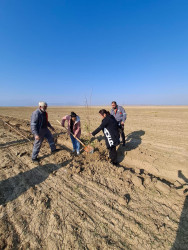 8 Noyabr Zəfər Gününün beşinci ildönümü ilə əlaqədar ağacəkmə aksiyası davam etdirilir