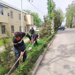 Tərtər şəhəri ərazisində iməclik aksiyası keçirilib