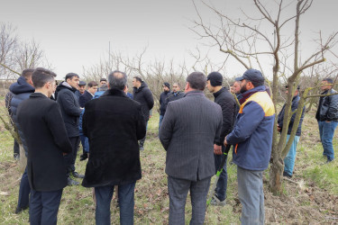 Dövlət-özəl sektor əməkdaşlığı çərçivəsində fermerlərə master-klass keçirilib