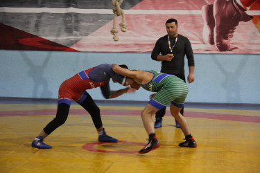 Tərtərdə sərbəst güləş üzrə rayon turniri keçirilib.