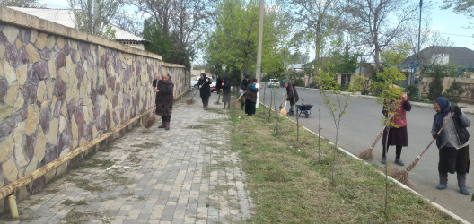 Tərtər şəhəri ərazisində iməclik aksiyası keçirilib