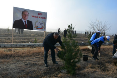 Tərtərdə Ulu Öndər Heydər Əliyevin anım günü ilə əlaqədar ağacəkmə aksiyası keçirilib