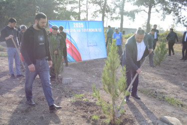 Tərtərdə “Konstitusiya və Suverenlik İli” çərçivəsində 8 Noyabr Zəfər Gününün beşinci ildönümü ilə əlaqədar növbəti ağacəkmə aksiyası keçirilib