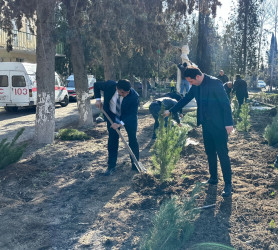 Tərtərdə şəhid Teyyub Həsənovun büstü ətrafında abadlıq və təmizlik işləri aparılıb