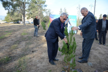 Tərtərdə “Konstitusiya və Suverenlik İli” çərçivəsində 8 Noyabr Zəfər Gününün beşinci ildönümü ilə əlaqədar növbəti ağacəkmə aksiyası keçirilib