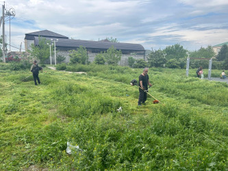 Tərtər şəhəri ərazisində iməclik aksiyası keçirilib