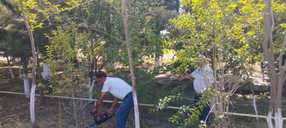 Tərtərdə avtomobil yollarının kənarları iməcilik yolu ilə təmzilənib