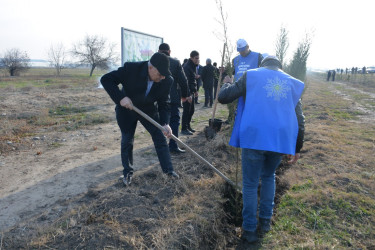 Tərtərdə "Yaşıl dünya naminə həmrəylik ili" çərçivəsində Azərbaycan Respublikasının Prezidenti cənab İlham Əliyevin doğum gününə həsr olunan  ağacəkmə aksiyası keçirilib