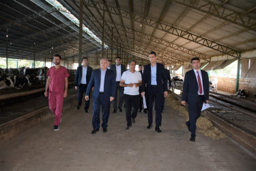 Tərtərdə yeni Dövlət Proqramının icrası ilə əlaqədar kənd təsərrüfatı və emal sahələrinin inkişafı üzrə layihələrə baxış keçirilib