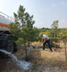 Tərtər şəhəri ərazisində növbəti iməclik aksiyası keçirilib