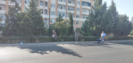 Tərtər şəhəri ərazisində növbəti iməclik aksiyası keçirilib