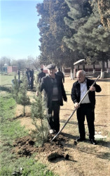 Tərtərdə "Yaşıl dünya naminə həmrəylik ili" çərçivəsində növbəti ağacəkmə aksiyası Borsunlu kəndi ərazisində keçirilib