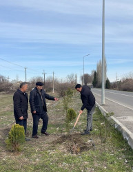 Seydimli kəndində ağacəkmə və təmizlik aksiyası keçirilib