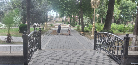 Tərtər şəhəri ərazisində iməclik aksiyası keçirilib