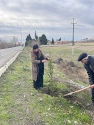 Seydimli kəndində ağacəkmə və təmizlik aksiyası keçirilib