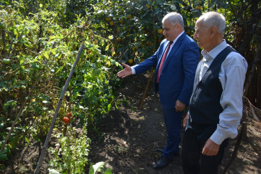 İcra başçısı şəhid atası Halay Nəcəfovu 85 illik yubileyi münasibəti ilə ziyarət edib