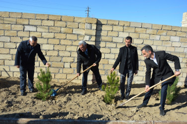 Tərtərdə 31 Dekabr – Dünya Azərbaycanlılarının Həmrəyliyi Günü münasibətilə ağacəkmə aksiyası keçirilib
