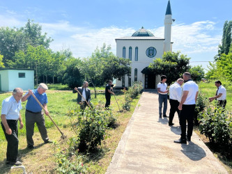 “Yaşıl gələcək naminə” adlı yaşıllaşdırma aksiyası davam etdirilib