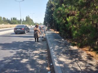 Tərtər şəhəri ərazisində iməclik aksiyası keçirilib