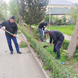 Tərtər şəhəri ərazisində iməclik aksiyası keçirilib
