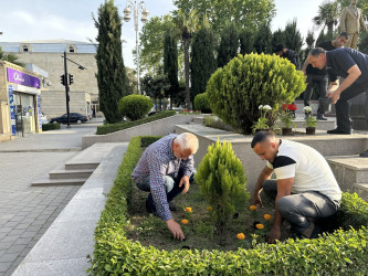 “Yaşıl dünya naminə həmrəylik ili” çərçivəsində Tərtər şəhəri ərazisində gül və çiçək kolları əkilib