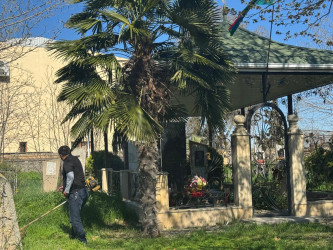 Aprel döyüşləri şəhidi Nicat İsgəndərovun qəbirüstü abidəsinin ətrafında təmizlik işləri aparılıb