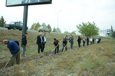 Tərtərdə "Yaşıl dünya naminə həmrəylik ili" çərçivəsində magistral yolların kənarlarında ağacların əkilməsi üçün hazırlıq işləri davam etdirilir