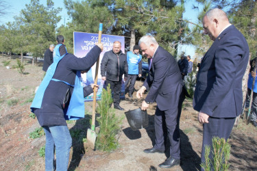 Tərtərdə “Şəhərsalma və Memarlıq İli” çərçivəsində Xocalı soyqrımının 34-cü il dönümü ilə əlaqədar ağacəkmə aksiyası keçirilib