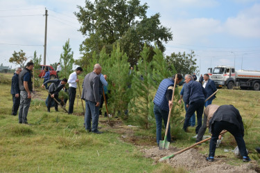 Tərtərdə "Yaşıl dünya naminə həmrəylik ili" çərçivəsində növbəti ağacəkmə aksiyası Poladlı kəndi ərazisində keçirilib