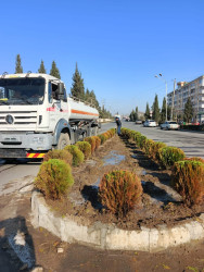 Tərtər şəhərində abadlıq və təmizlik işləri davam etdirilir