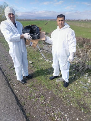 Tərtərdə sahibsiz heyvanların peyvəndlənməsi davam etdirilir