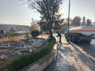 Tərtər şəhəri ərazisində iməclik və ağacəkmə aksiyası keçirilib