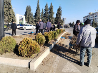 Tərtər şəhərində abadlıq və təmizlik işləri davam etdirilir