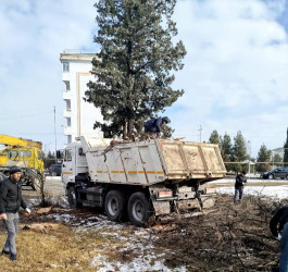 Rayon rəhbərinin keçirilən növbəti qəbul-görüşü zamanı qaldırılan məsələ öz həllini tapıb