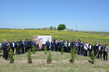 Tərtərdə “Konstitusiya və Suverenlik İli” çərçivəsində Ulu Öndərin anadan olmasının 102-ci ildönümü ilə əlaqədar  ağacəkmə aksiyası keçirilib