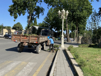 Tərtərdə  küləyin törətdiyi fəsadlar aradan qaldırılır