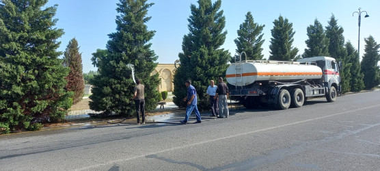 Tərtərdə “Yaşıl dünya naminə həmrəylik ili” çərçivəsində növbəti iməcilik keçirilib