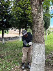 Əskipara kəndində abadlıq və təmizlik işləri görülüb