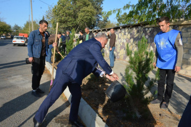 Tərtər Rayon İcra Hakimiyyətinin və YAP rayon təşkilatının birgə təşkilatçılığı ilə “Heydər Əliyev İli” çərçivəsində 8 Noyabr-Zəfər Gününə həsr olunmuş ağacəkmə aksiyası keçirilib