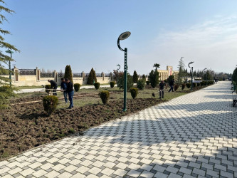 Tərtər şəhəri ərazisində iməclik aksiyası keçirilib