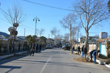 Tərtərdə “Heydər Əliyev ili” çərçivəsində ilk ağacəkmə aksiyası keçirilib