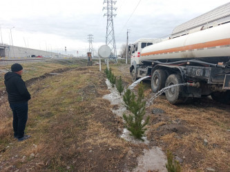 Tərtər şəhəri ərazisində növbəti iməclik aksiyası keçirilib