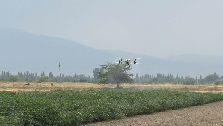 Tərtərdə aqrar sahədə müasir dron texnologiyalarının tətbiqinə dair fermerlərlə maarifləndirici tədbir keçirildi