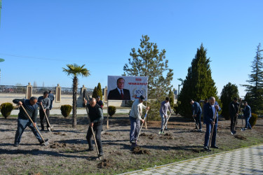 Tərtərdə “Heydər Əliyev İli” çərçivəsində növbəti iməcilik keçirilib