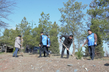 Tərtərdə “Şəhərsalma və Memarlıq İli” çərçivəsində Xocalı soyqrımının 34-cü il dönümü ilə əlaqədar ağacəkmə aksiyası keçirilib