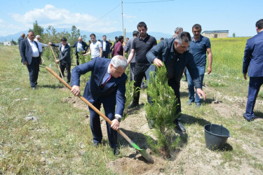 Tərtərdə “Konstitusiya və Suverenlik İli” çərçivəsində Ulu Öndərin anadan olmasının 102-ci ildönümü ilə əlaqədar  ağacəkmə aksiyası keçirilib
